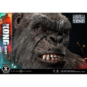 Prime 1 Studio Godzilla vs Kong Life Size Bust Kong 