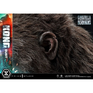 Prime 1 Studio Godzilla vs Kong Life Size Bust Kong 