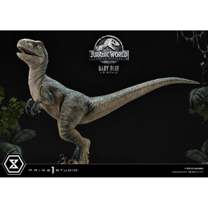Prime 1 Studio Jurassic World Fallen Kingdom 1/2 Prime Collectibles Baby Blue 