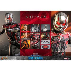 Hot Toys Ant-Man & The Wasp Quantumania Movie Masterpiece 1/6 Scale Ant-Man 