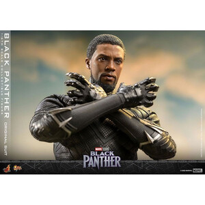 Hot Toys Black Panther Movie Masterpiece 1/6 Scale Black Panther (Original Suit) 31 cm 