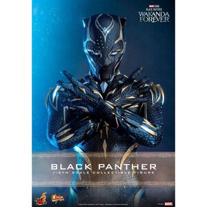 Hot Toys Black Panther Wakanda Forever Movie Masterpiece 1/6 Scale Black Panther 