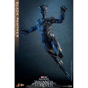 Hot Toys Black Panther Wakanda Forever Movie Masterpiece 1/6 Scale Black Panther 