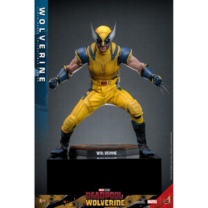 Hot Toys Deadpool & Wolverine 1/6 Scale Movie Masterpiece Wolverine 