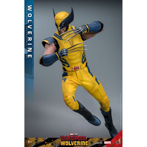 Hot Toys Deadpool & Wolverine 1/6 Scale Movie Masterpiece Wolverine 