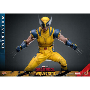 Hot Toys Deadpool & Wolverine 1/6 Scale Movie Masterpiece Wolverine 