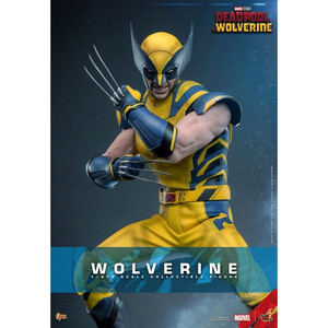 Hot Toys Deadpool & Wolverine 1/6 Scale Movie Masterpiece Wolverine 