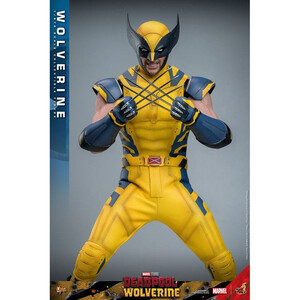 Hot Toys Deadpool & Wolverine 1/6 Scale Movie Masterpiece Wolverine 