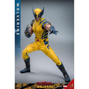 Hot Toys Deadpool & Wolverine 1/6 Scale Movie Masterpiece Wolverine 