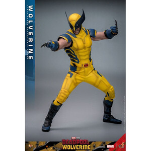 Hot Toys Deadpool & Wolverine 1/6 Scale Movie Masterpiece Wolverine 