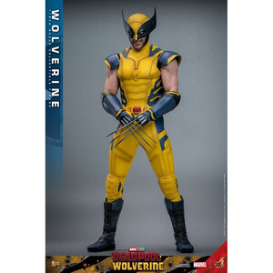Hot Toys Deadpool & Wolverine 1/6 Scale Movie Masterpiece Wolverine 