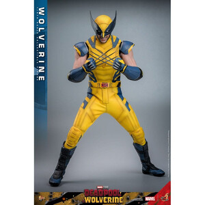 Hot Toys Deadpool & Wolverine 1/6 Scale Movie Masterpiece Wolverine 