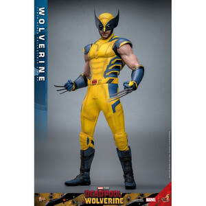 Hot Toys Deadpool & Wolverine 1/6 Scale Movie Masterpiece Wolverine 