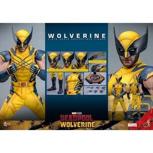 Hot Toys Deadpool & Wolverine 1/6 Scale Movie Masterpiece Wolverine 