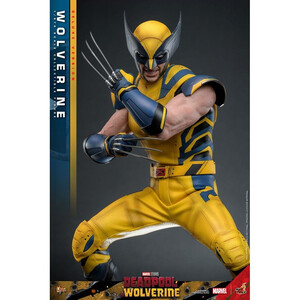 Hot Toys Deadpool & Wolverine 1/6 Scale Movie Masterpiece Wolverine (Deluxe Version) 