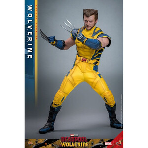 Hot Toys Deadpool & Wolverine 1/6 Scale Movie Masterpiece Wolverine (Deluxe Version) 