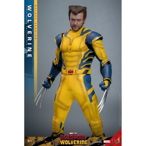 Hot Toys Deadpool & Wolverine 1/6 Scale Movie Masterpiece Wolverine (Deluxe Version) 