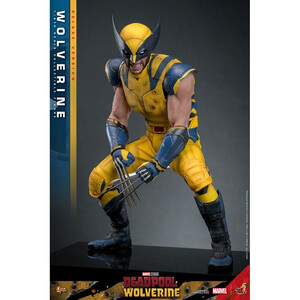 Hot Toys Deadpool & Wolverine 1/6 Scale Movie Masterpiece Wolverine (Deluxe Version) 