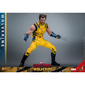 Hot Toys Deadpool & Wolverine 1/6 Scale Movie Masterpiece Wolverine (Deluxe Version) 
