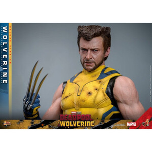 Hot Toys Deadpool & Wolverine 1/6 Scale Movie Masterpiece Wolverine (Deluxe Version) 