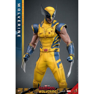 Hot Toys Deadpool & Wolverine 1/6 Scale Movie Masterpiece Wolverine (Deluxe Version) 
