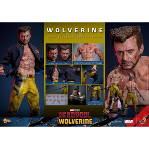 Hot Toys Deadpool & Wolverine 1/6 Scale Movie Masterpiece Wolverine (TVA Jacket Version) 