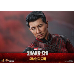 Hot Toys Shang-Chi and the Legend of the Ten Rings Movie Masterpiece 1/6 Scale Shang-Chi 
