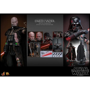 Hot Toys Star Wars 1/6 Scale Darth Vader (Battle Damaged) 