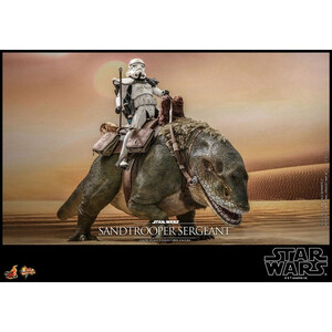 Hot Toys Star Wars: Episode IV 1/6 Scale Sandtrooper Sergeant 