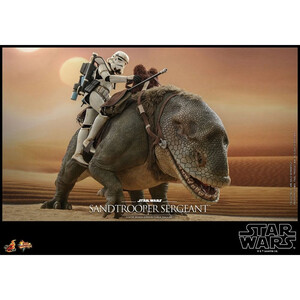 Hot Toys Star Wars: Episode IV 1/6 Scale Sandtrooper Sergeant 