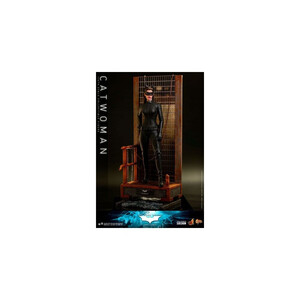 Hot Toys The Dark Knight Trilogy Movie Masterpiece 1/6 Scale Catwoman 