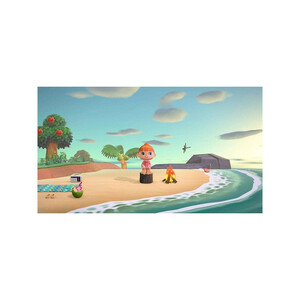 Nintendo Animal Crossing New Horizons Switch 