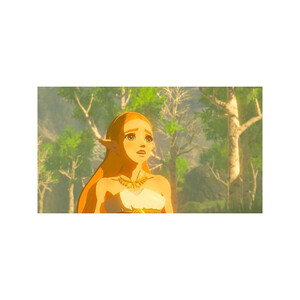 Nintendo The Legend of Zelda Breath of the Wild Switch 