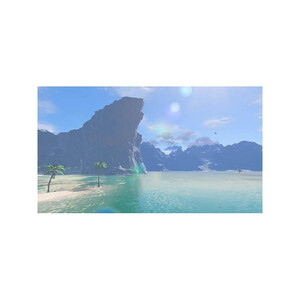 Nintendo The Legend of Zelda Breath of the Wild Switch 