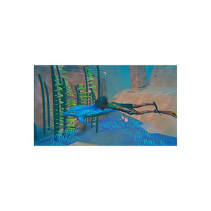 Maxmimum Entertainment Dolphin Spirit Ocean Mission PS4 