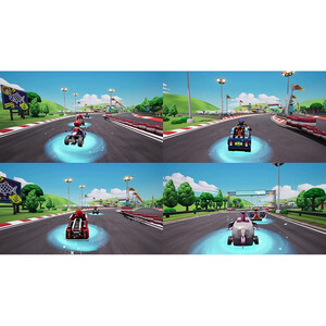 Bandai Namco Entertainment Paw Patrol Grand Prix PS4 