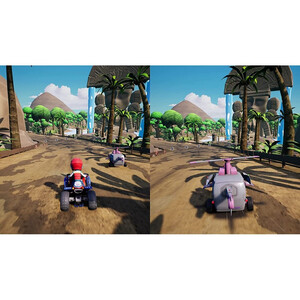 Bandai Namco Entertainment Paw Patrol Grand Prix PS4 