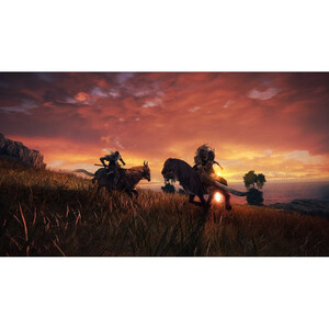 Bandai Namco Entertainment Elden Ring PS5 