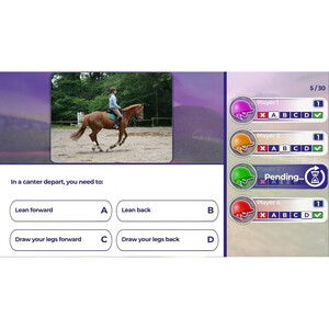 Maxmimum Entertainment Equestrian Training PS4 