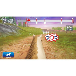Maxmimum Entertainment Equestrian Training PS4 