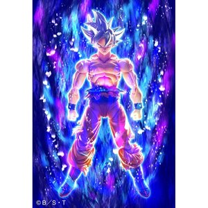 Bandai Dragon Ball Super S.H. Figuarts Son Goku Ultra Instinct Toyotarou Edition 