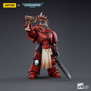 JoyToy Warhammer 40k 1/18 Scale Action Figure Blood Angels Veteran Salus 