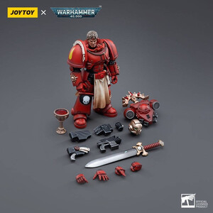 JoyToy Warhammer 40k 1/18 Scale Action Figure Blood Angels Veteran Salus 