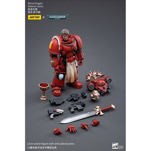 JoyToy Warhammer 40k 1/18 Scale Action Figure Blood Angels Veteran Salus 