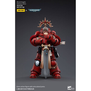 JoyToy Warhammer 40k 1/18 Scale Action Figure Blood Angels Veteran Salus 