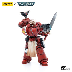 JoyToy Warhammer 40k 1/18 Scale Action Figure Blood Angels Veteran Vigna 