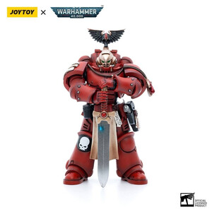 JoyToy Warhammer 40k 1/18 Scale Action Figure Blood Angels Veteran Vigna 