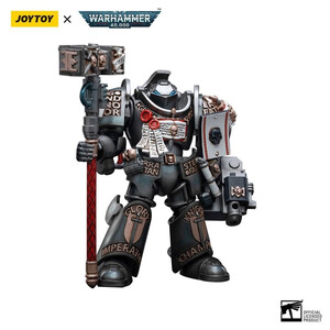 JoyToy Warhammer 40k 1/18 Scale Action Figure Grey Knights Terminator Caddon Vibova 