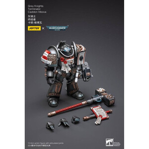 JoyToy Warhammer 40k 1/18 Scale Action Figure Grey Knights Terminator Caddon Vibova 