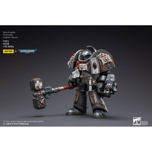 JoyToy Warhammer 40k 1/18 Scale Action Figure Grey Knights Terminator Caddon Vibova 